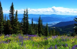 4 Crystal Springs Rd, Sandpoint, ID 83864
