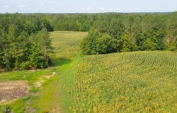 003 Sam Blackwell Road, Oxford, NC 27565