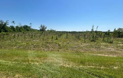 xxx County Hwy 73, Altha, FL 32421