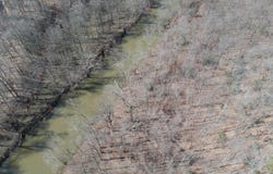 11401 DONNINGTON CT, MANASSAS, VA 20111