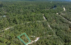 TBD HICKORY LN, LOT 30, Live Oak, FL 32060