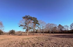 Joby Magee Road, Franklinton, LA 70438