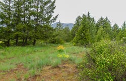 2420 CEDONIA ADDY RD, ADDY, WA 99101