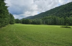 Upper Back Creek Road, Mill Gap, VA 24465