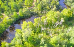 15 ACRES C WALLIN ROAD, THOMPSONVILLE, MI 49683