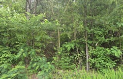 3302 Ridgeway Drive NW, Cleveland, TN 37312