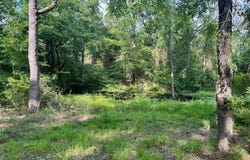 490 Vz County Road 2915, Eustace, TX 75124