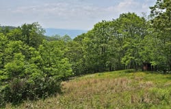 1891 Jack Mountain Road, Monterey, VA 24465
