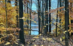 V/L Alpine Drive, Reed City, MI 49677