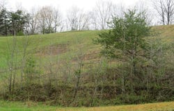 0 KY Route 580, Staffordsville, KY 41256