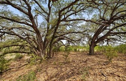 Tbd County Road 207, Burnet, TX 78611