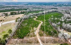 33+/- Acres Highway 167, Jack, AL 36346
