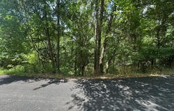 Lot 10 Paola Lane, Kimberling City, MO 65686