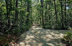 8+/- ac Walker Road, Troy, MO 63379