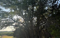 County Road 2644 lot: 21, Lometa, TX 76853