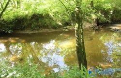 338 County Road 657, Rainsville, AL 35986
