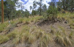 Pine Knot Trail lot: 6, Alto, NM 88312