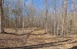 Hurricane Creek Road lot: 1, Linden, TN 37096
