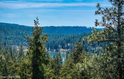 6339 S CORMORANT CT, Harrison, ID 83833