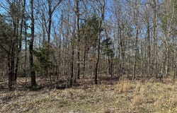0 CR 200, Pittsboro, MS 38951