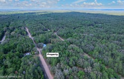 LOUISE Avenue, Interlachen, FL 32148