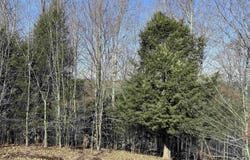 015 Horton Creek Drive, Grawn, MI 49637