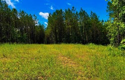 Arthur Drive, Brookhaven, MS 39601