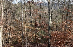 Lot 51 Red Cedar Ln, Sevierville, TN 37876