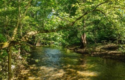 1214 RIDGELEY ROAD, WOODSTOCK, VA 22664