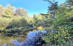 N Betsy River Road lot: 12, Paradise, MI 49768