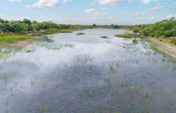 9999 FM 503, Voss, TX 76888