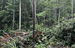 0 Mount Allen Heights, Black Mountain, NC 28711