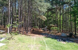 303 An County Road 2105, PALESTINE, TX 75803