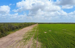 WBD N Hwy 281, Alice, TX 78332