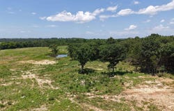 38A Honeysuckle Lane, Wiseman, AR 72587