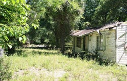 21646 NW 58TH COURT, MICANOPY, FL 32667