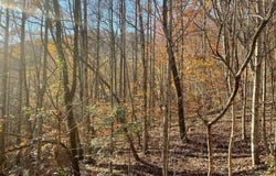 Lot 41c Ash Branch Circle, Hayesville, NC 28904