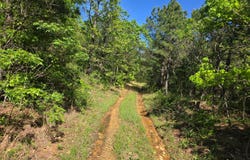 TRACT 40 TRAIL RIDGE ROAD, Albion, OK 74571