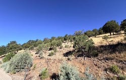 Stable Road, Alto, NM 88312