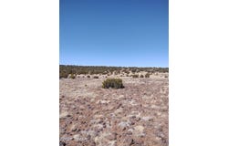 182 Show Low Pines, Concho, AZ 85924