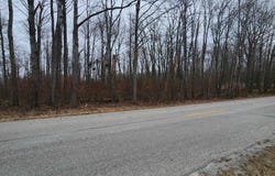 Poor Farm Road lot: 11 & 12, Greenbush, MI 48738