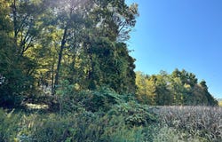 Lot #3 LINDEN HALL ROAD, BOALSBURG, PA 16827