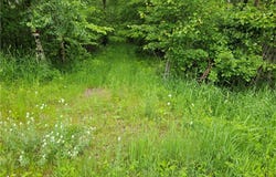 20 Acres 22 1/4 Street, Chetek, WI 54728