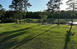 23282 Noble Oak Dr, Springfield, LA 70462