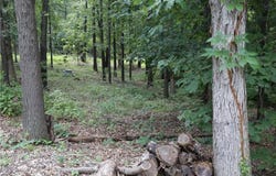 Lot 34, Block 3 Runnymede  LN, Bella Vista, AR 72715