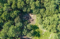 278 Huffman Road, Rose Hill, NC 28458