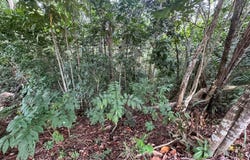 834 Km 3  Bo. Hato Nuevo, Guaynabo, 00970