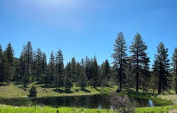 1077 Timber Ridge, Klamath Falls, OR 97601