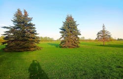 5544 ELM ROAD, Pittsville, WI 54466