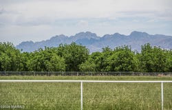 350 E Afton Road, La Mesa, NM 88044